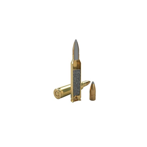 Magtech 223 REM  55gr PSP