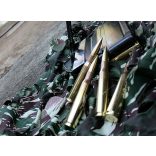 Magtech .50 BMG 770gr solid sniper 