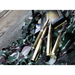 Magtech .50 BMG 770gr solid sniper 
