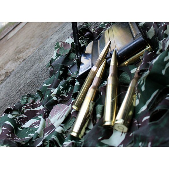 Magtech .50 BMG 770gr solid sniper 